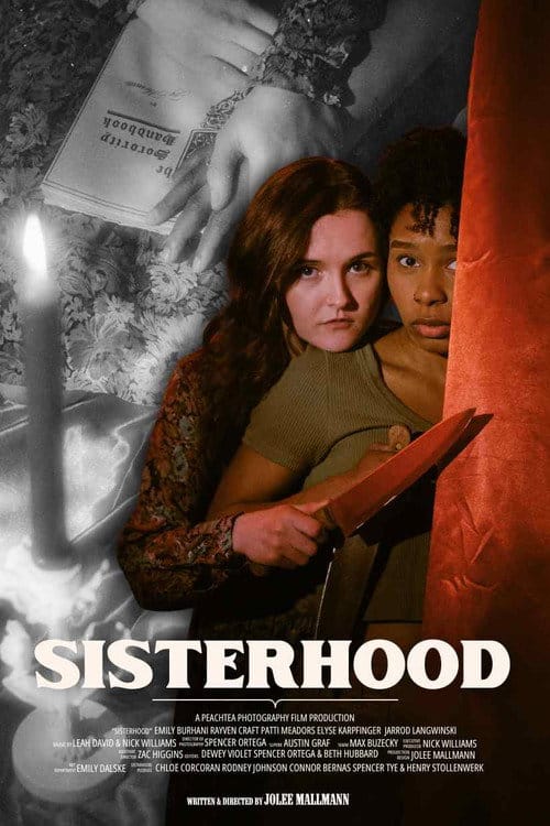 Sisterhood poster