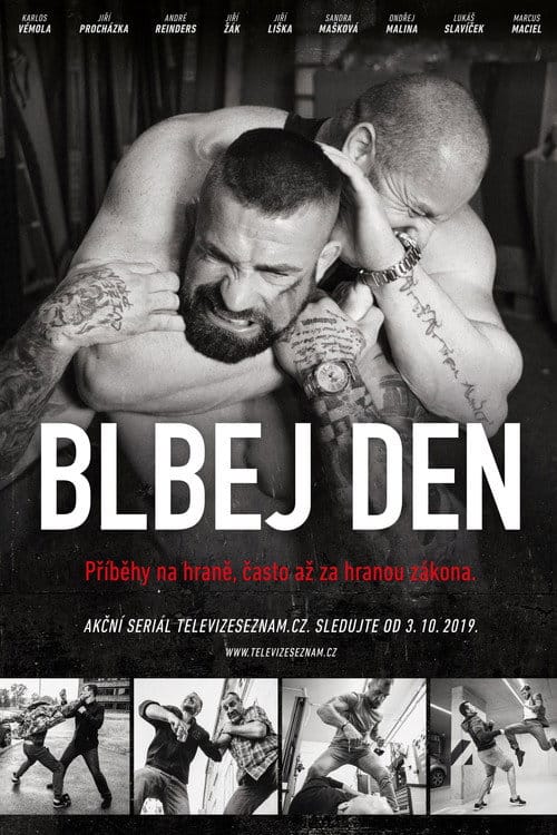 Blbej den poster
