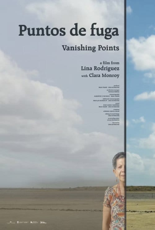 Vanishing Points poster