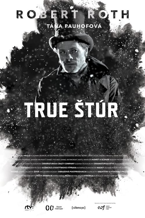 True Štúr poster